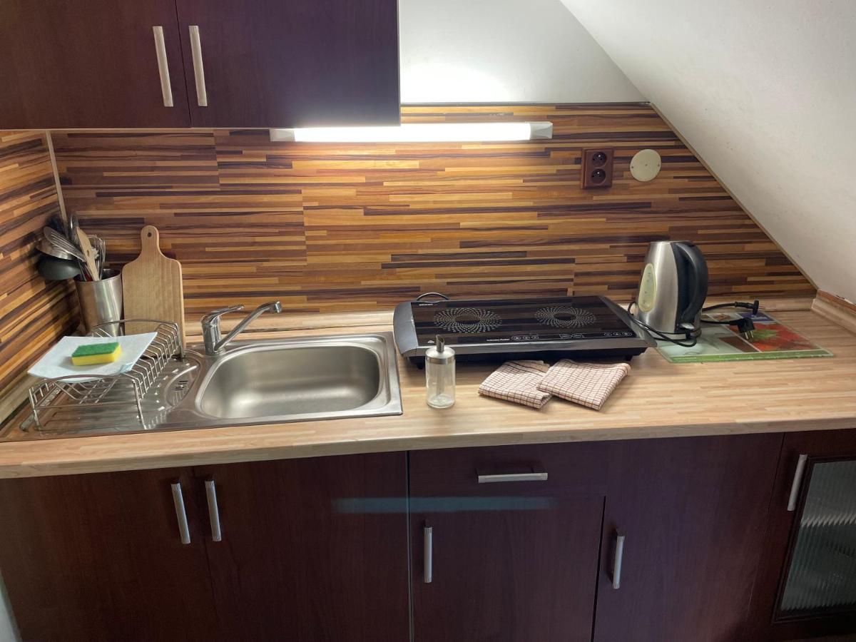Apartments Ve Dvore Velké Karlovice エクステリア 写真